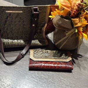 Elegant Crocodile-Embossed Women's Bag Set